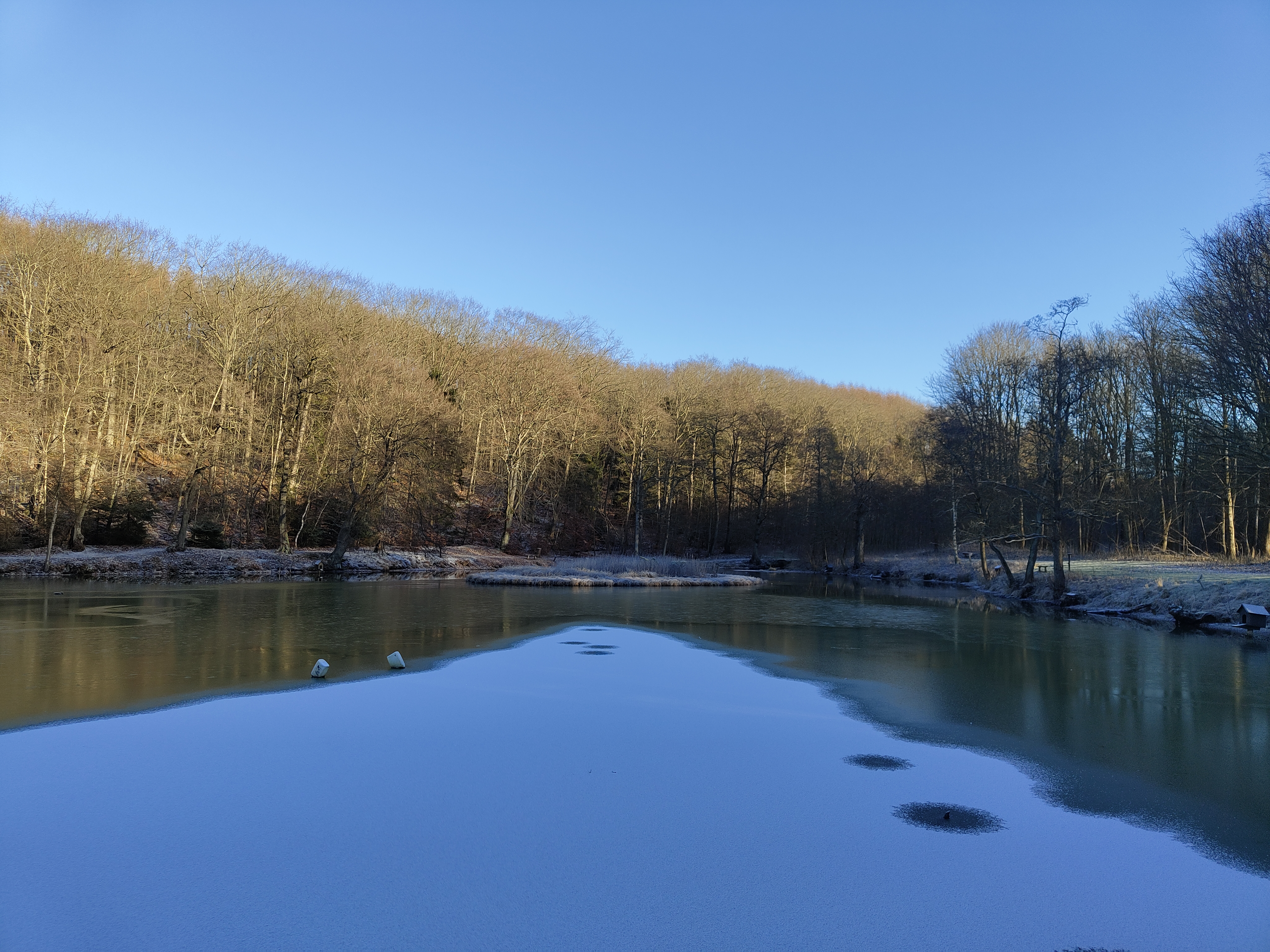 new year, new bullshit to hit the fan